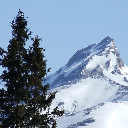 Ferienwohnung Bliem Sankt Michael im Lungau Bagian luar foto